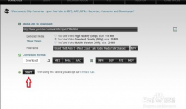 Youtube视频下载器,使用YouTube视频下载器轻松获取热门内容